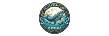 bluewhalesnorkelingmirissa.com